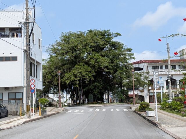 名護市東江D区画66坪