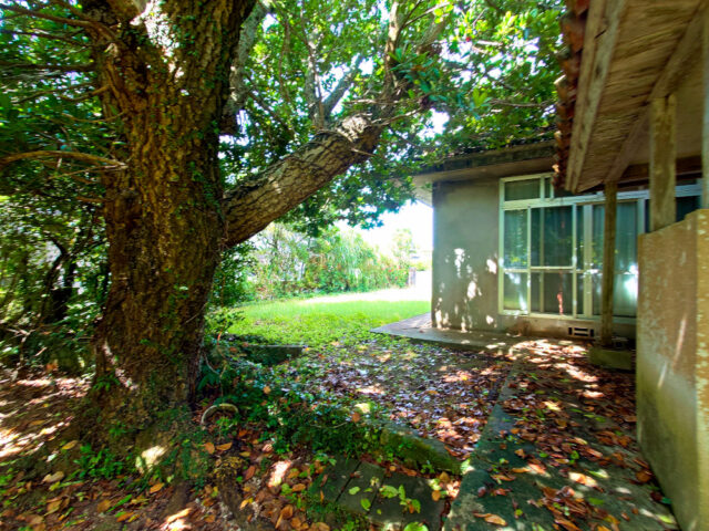 伊江村川平一戸建て