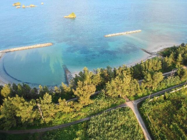 名護市屋我10178坪