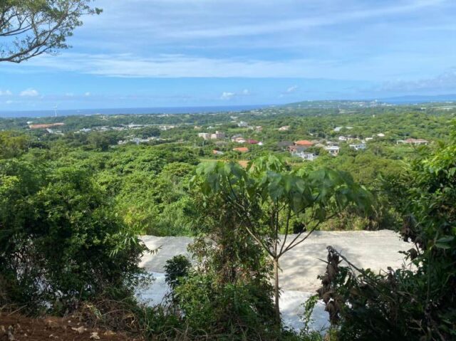 今帰仁村玉城10282坪