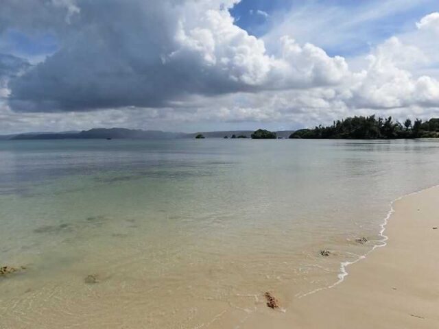 名護市済井出484坪