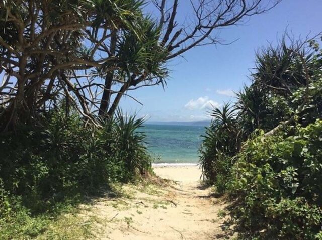 名護市済井出484坪