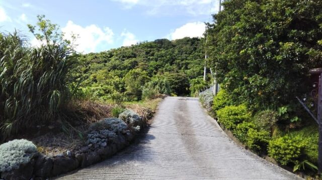 今帰仁村玉城10282坪