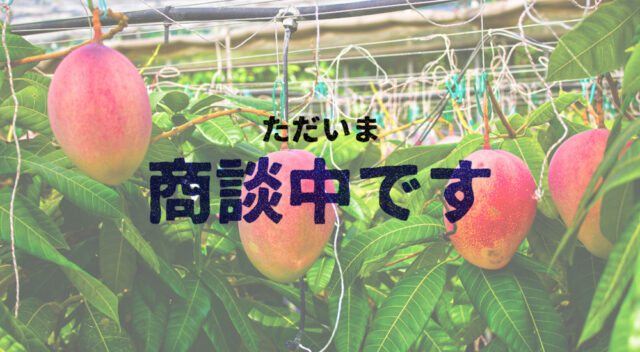 南城市知念マンゴ農園
