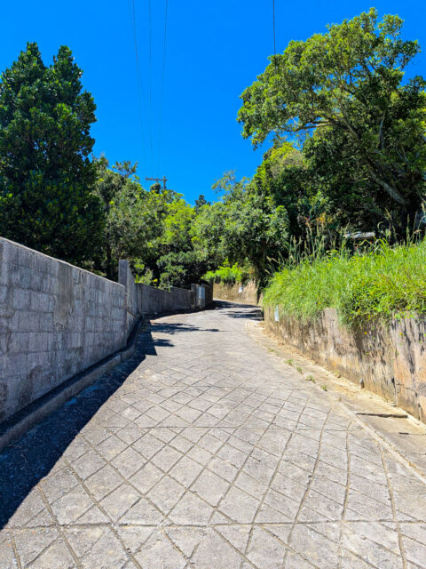 南城市知念113坪